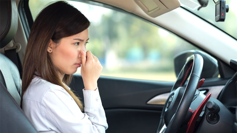 Why Does My Car Smell Like Rotten Eggs? (5 Reasons!)